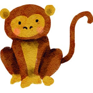 Kids Monkey